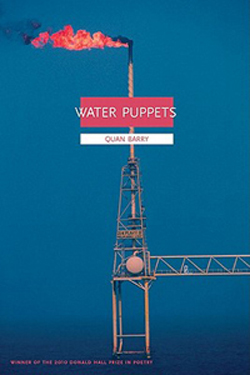 water Puppets cover
